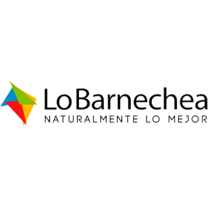 lo barnechea